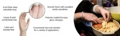 Large Clear 4-Mil Vinyl Powder Free Gloves