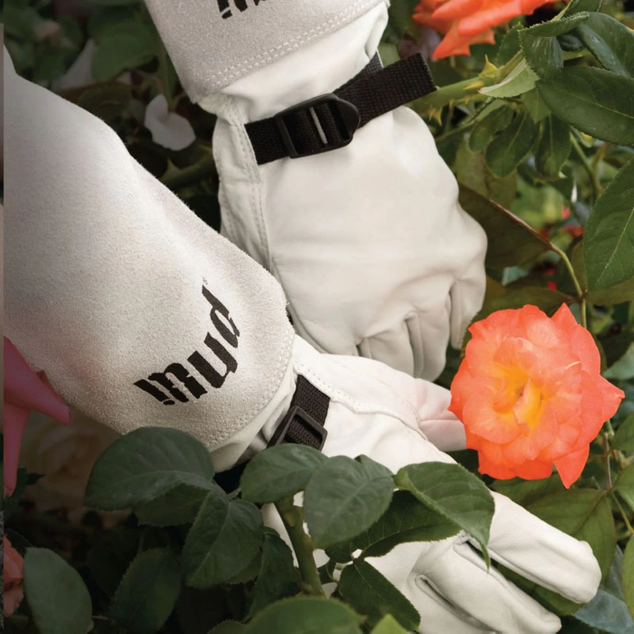 Medium /Large Women's Gauntlet Glove 3 Medium /Large Women's Gauntlet Glove